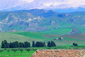 Scenic Tour of Etna Round and Alcantara Gorges
