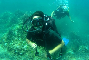 Scuba Diving Experience for Beginners