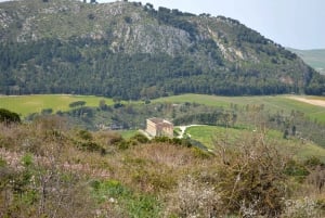 Sicily: Segesta Ticket, Shuttle Service & City Audio Tour