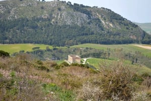 Segesta: Ticket de entrada sin colas con servicio de transporte.