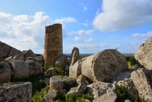 Selinunte: Archeological Park Entry Ticket and Pemcards