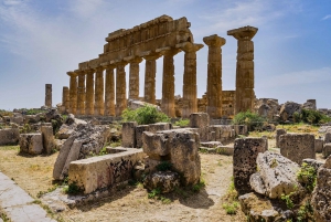 Selinunte: Archeological Park Entry Ticket and Pemcards