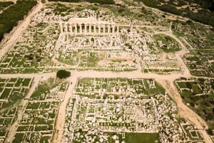 Selinunte: Inträdesbiljett till den arkeologiska parken och Pemcards