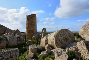 Selinunte: Entrada al Parque Arqueológico y Pemcards