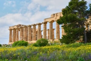 Selinunte: Archeological Park Entry Ticket & App Audioguide