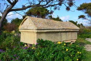 Selinunte: Archeological Park Entry Ticket & App Audioguide