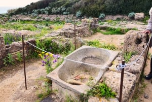 Selinunte: Archeological Park Entry Ticket & App Audioguide