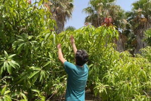 Sensory tour with tasting at a Sicilian organic farm