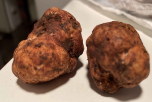 Sicilia: Caccia al Tartufo