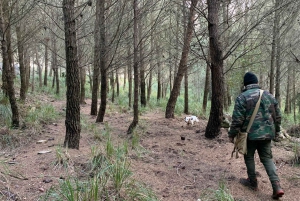 Sicilia: Caccia al Tartufo