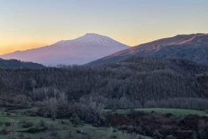 Sicilia: Caccia al Tartufo