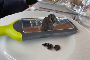 Sicilia: Caccia al Tartufo
