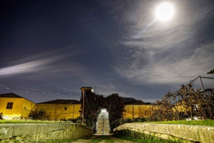 Sicilian cooking class in the historic baglio Florio Adamo