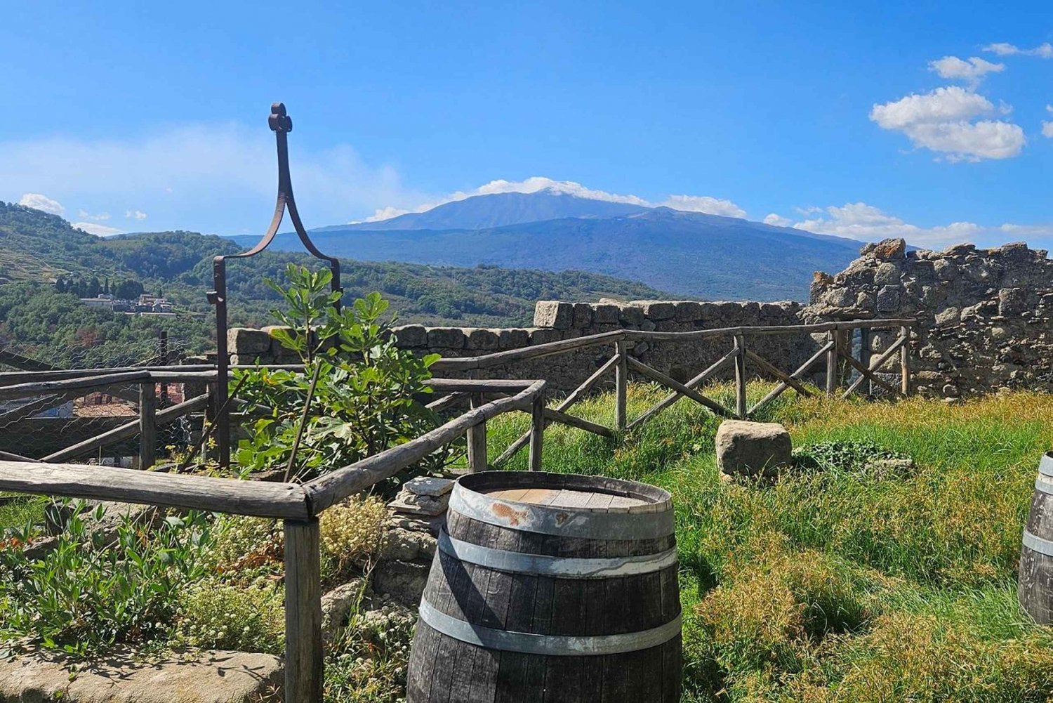 ETNA VILLAGES : DÉGUSTATION D'HUILE ET DE RICOTTA avec déjeuner