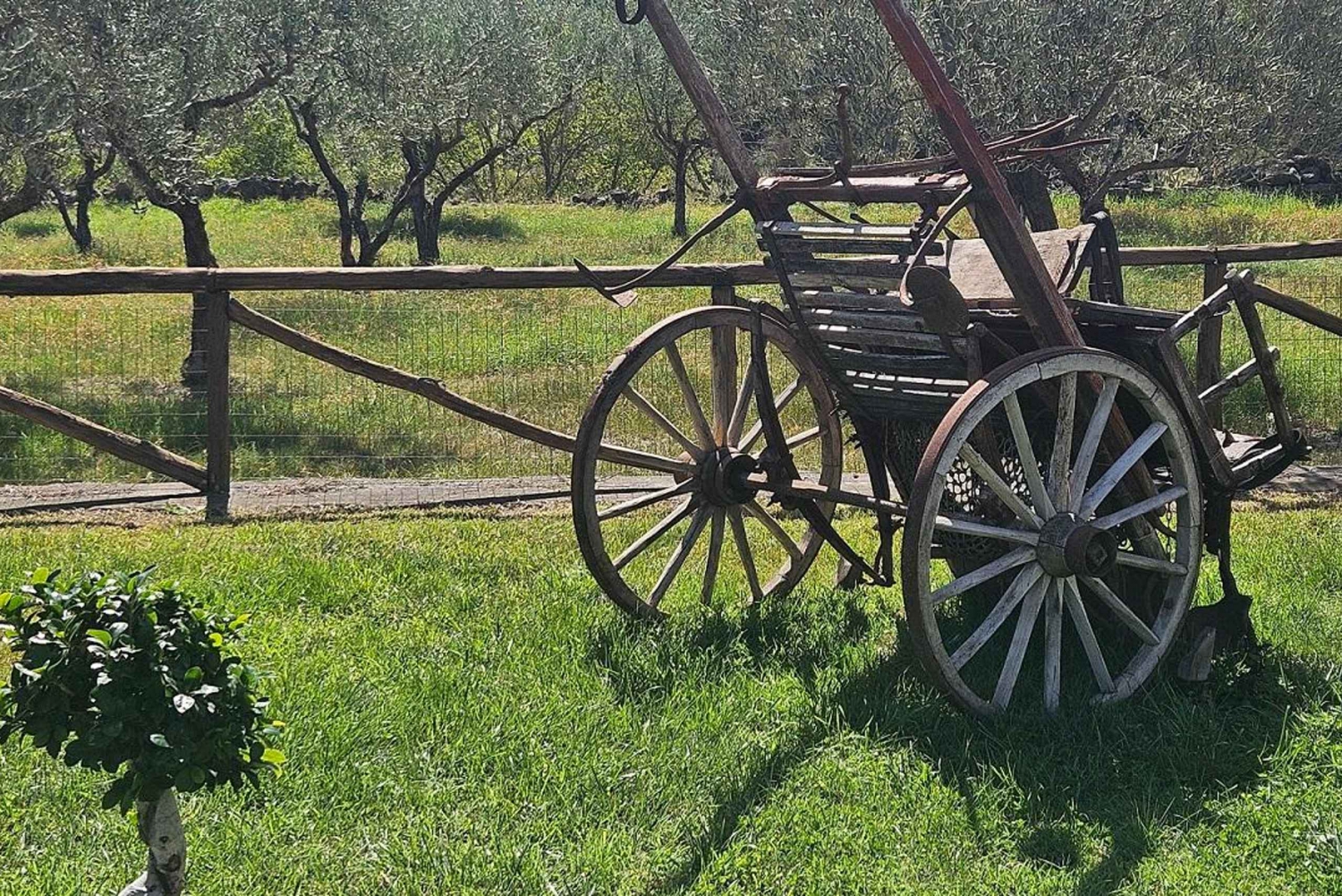 エトナ村巡り:リコッタ&ワイン試飲付きランチ