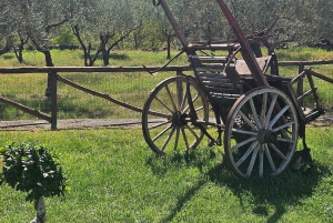 エトナ村巡り:リコッタ&ワイン試飲付きランチ