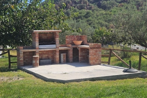 エトナ村巡り:リコッタ&ワイン試飲付きランチ