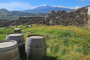 エトナ村巡り:リコッタ&ワイン試飲付きランチ