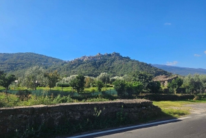 エトナ村巡り:リコッタ&ワイン試飲付きランチ