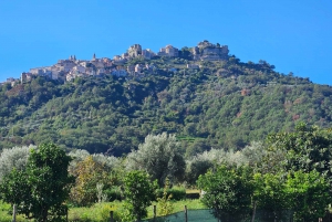 エトナ村巡り:リコッタ&ワイン試飲付きランチ