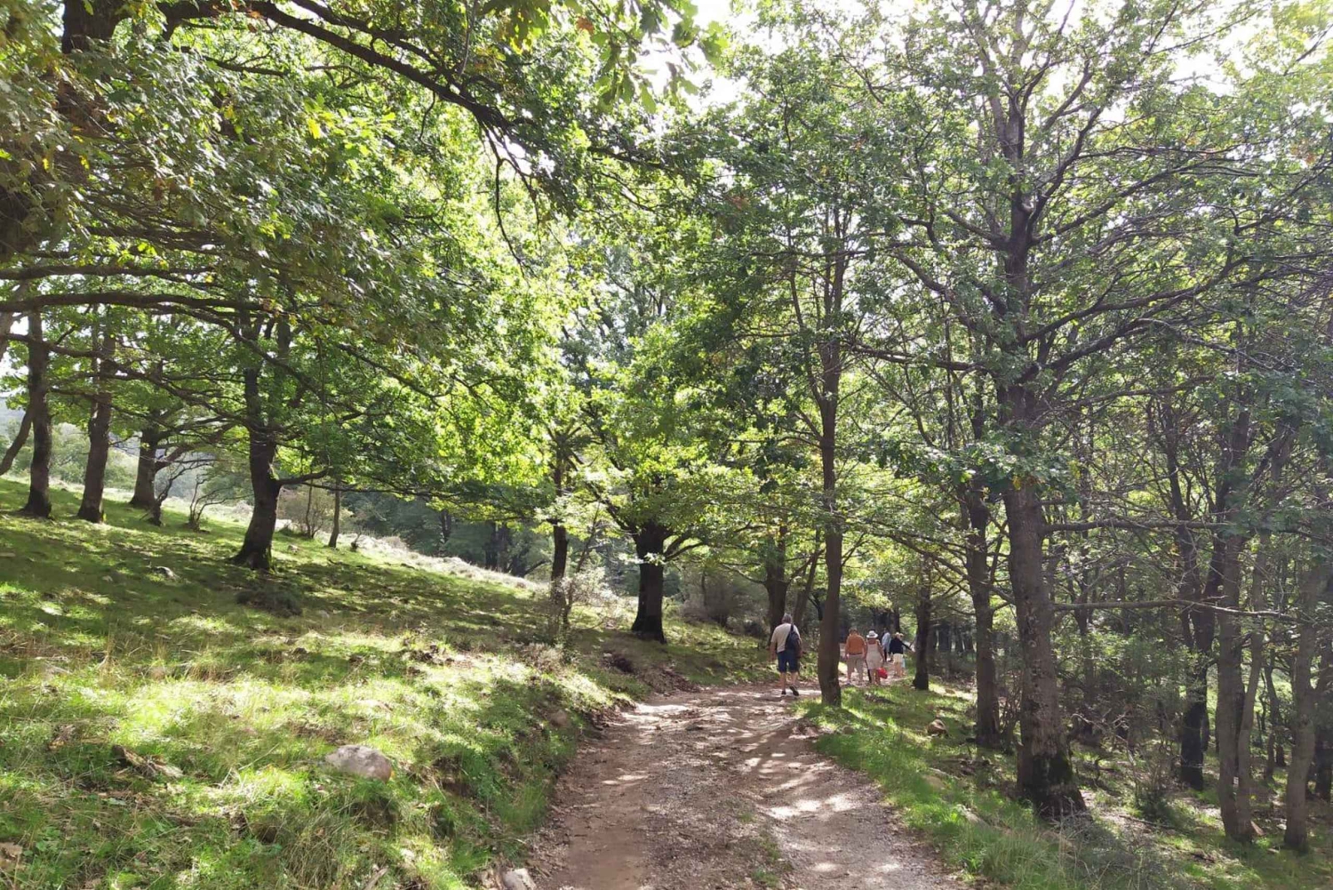 シチリアの村々とリコッタパーティー チェファルー周辺出発