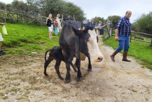 VILAS SICILIANAS E FESTA DA RICOTTA partida da área de Cefalù
