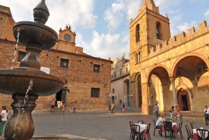 シチリアの村々とリコッタパーティー チェファルー周辺出発