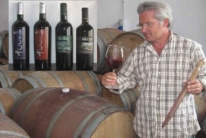 Sicily 7-Hour Cooking Class and Winery Tour