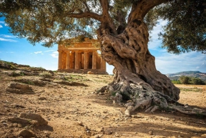 8-days Tour of Sicily: Highlights (Small Group)