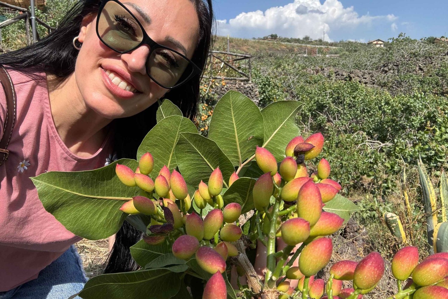 Sicilia: Bronte Pistachio Farm Tour med lunsj
