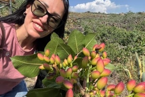 Sicilia: Bronte Pistachio Farm Tour med lunsj