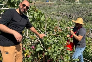 Sicilia: Bronte Pistachio Farm Tour med lunsj