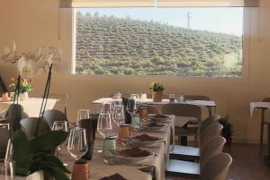 Sicily: Cooking Class with Wine Tasting