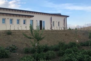 Sicily: Cooking Class with Wine Tasting