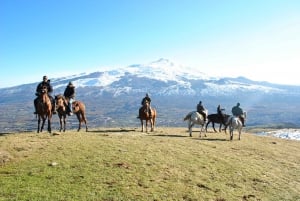 Sicily: Horseback Riding and Farmhouse Tour with Lunch