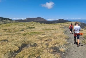Sicilia: Etna 4x4 jeep-tur med lavagrotter og skoger