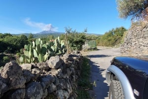 Sicilia: Etna 4x4 jeep-tur med lavagrotter og skoger