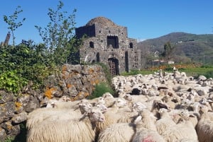 Sicilia: Etna 4x4 jeep-tur med lavagrotter og skoger