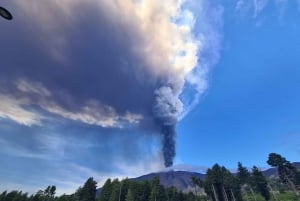 Sicilia: Etna 4x4 jeep-tur med lavagrotter og skoger