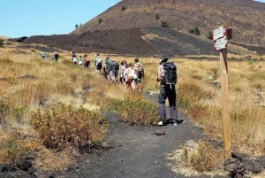 Sicily: Mount Etna's North Slope Craters Guided Hike Tour