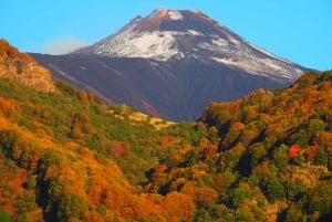 Sicily: Mount Etna's North Slope Craters Guided Hike Tour