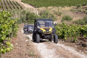 Sicily: Off-Road ATV Buggy Tour