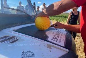 Sicilien: Off-Road ATV Buggy Tour