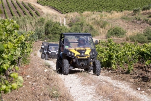 Sicilien: Off-Road ATV Buggy Tour
