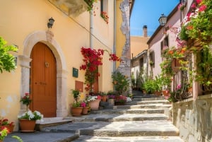 Sicilien: The Godfather privat tur fra Catania eller Taormina