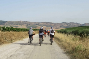 Sicily: Trapani, Mount Cofano and E-bike Experience