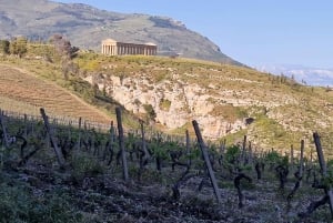 Side-by-side-udflugt til Terme Segestane