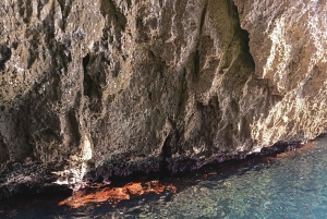 Syracuse : sortie en bateau de Noël avec « spumante et pandoro »