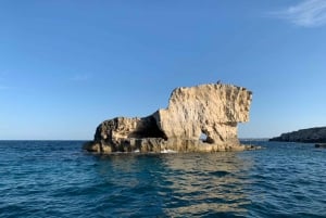 Siracusa: Ortigia båttur med marin grotta