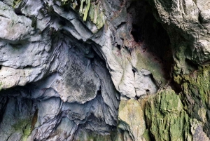 Siracusa: Ortigia +sea caves +fishing experience